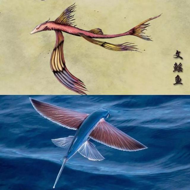 舌尖上的上古中国|山海经|舌尖|产地_新浪新闻