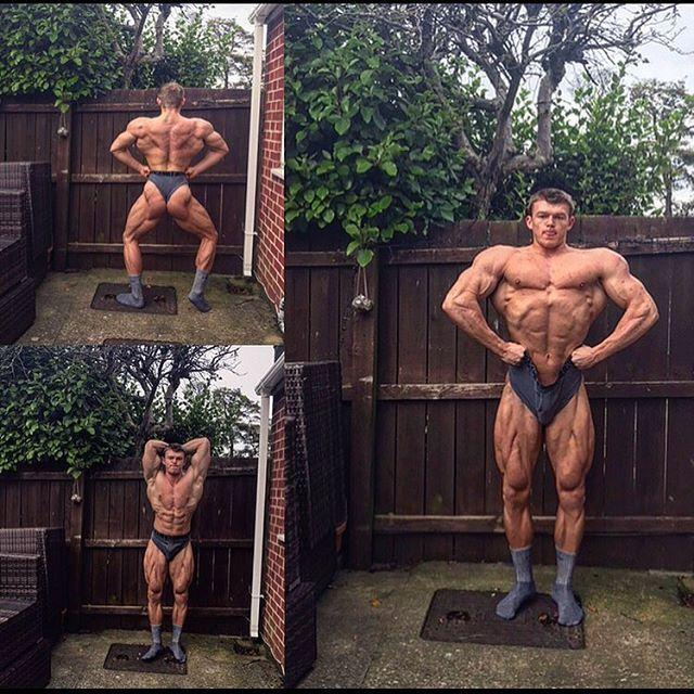 健美神童：Brad Willis的主要健美成绩：