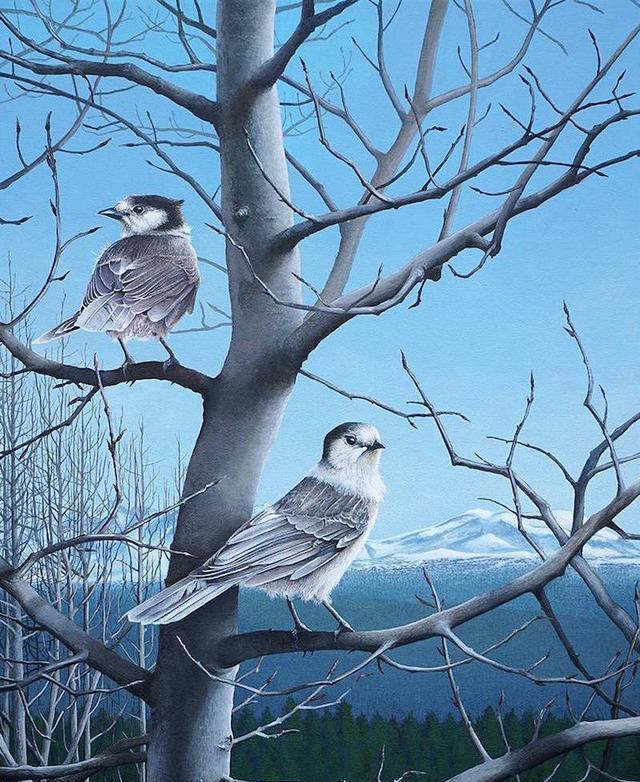 国外鸟类油画作品图片