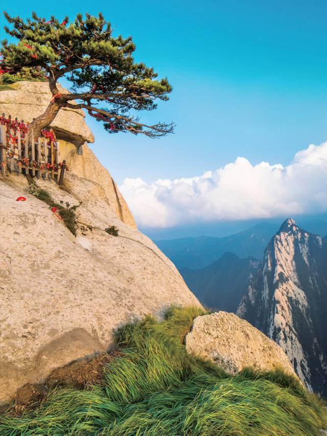 如何利用不同光位拍出好照片|侧光|画面|光线|景物|顺光_新浪新闻