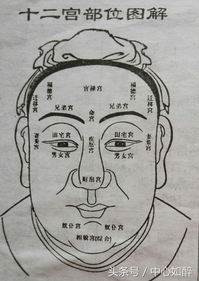 何谓十二宫面相,是以不同的宫位象征人生的成败(答案仅供参考)|面相|印堂|十二宫_新浪新闻