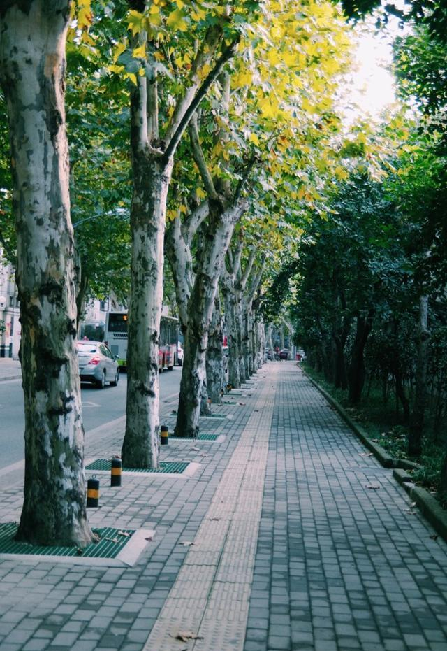 散步在最有老武汉味道的街道上|光华|武汉|味道_新浪新闻