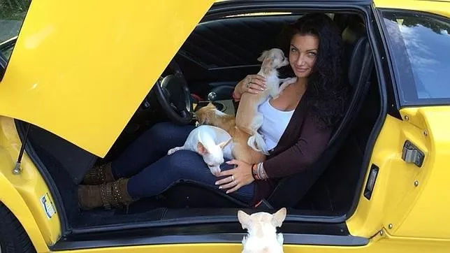 但在我们眼中兰博基尼是梦想