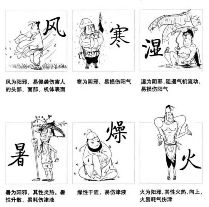 寒邪生死血，风邪酿痰浊！化解风寒，它就是中国人的护身符