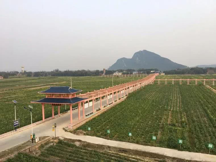 柳州市离柳城县有多远 柳城县有哪些著名景点和行政区划