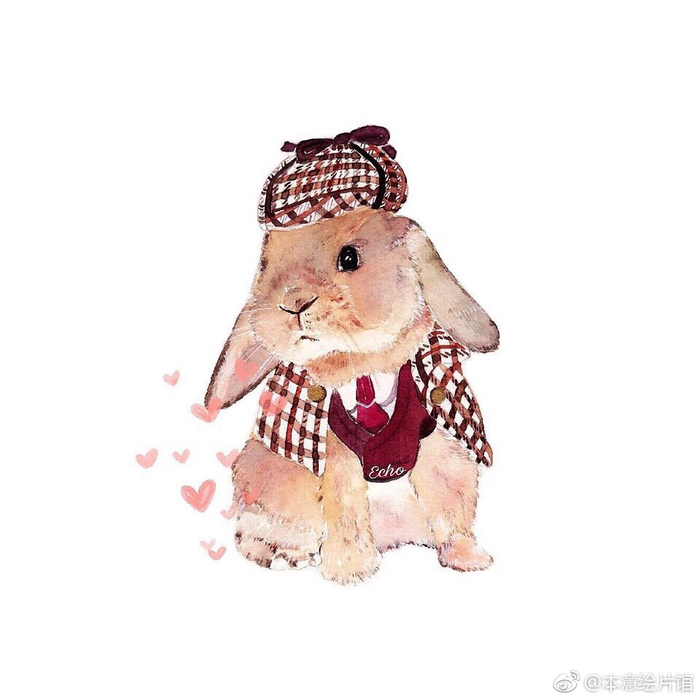 兔子先生&兔子小姐🐰 | 绘画：@林淑莹Echo-