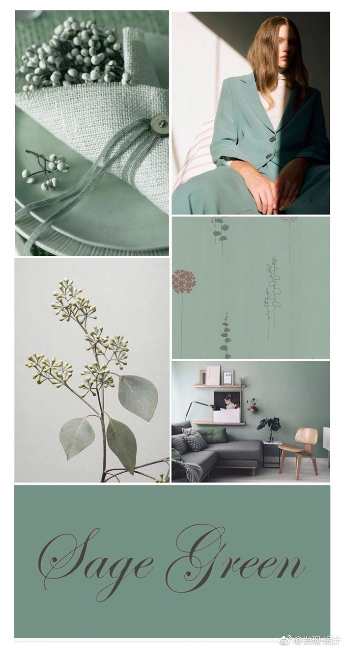 鼠尾草绿/sage green