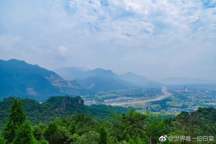 浪迹花都txt下载