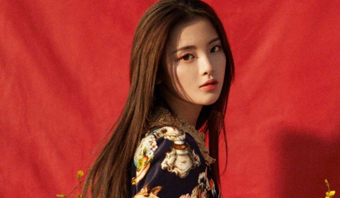 姓杨的6位女明星:每一位都五官精致,才华横溢!|女演员_新浪娱乐_新浪新闻