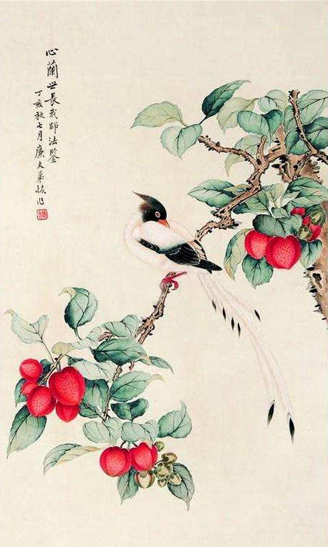如何画荔枝|南方|荔枝|画法_新浪新闻