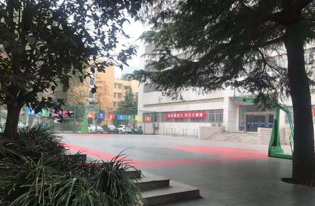 武都八中巷为何难寻姑娘身影？实地探访揭示三个真相