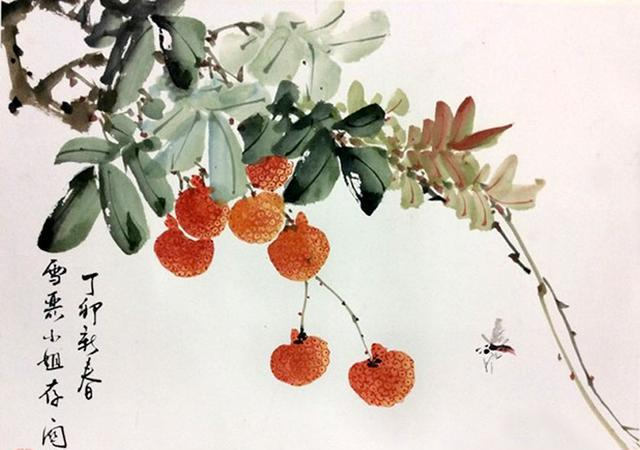 如何画荔枝|南方|荔枝|画法|唐杜牧|历代_新浪新闻
