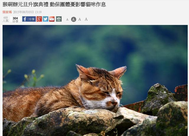 猫奴看过来 没有猴子只有猫咪的台湾猴硐猫村