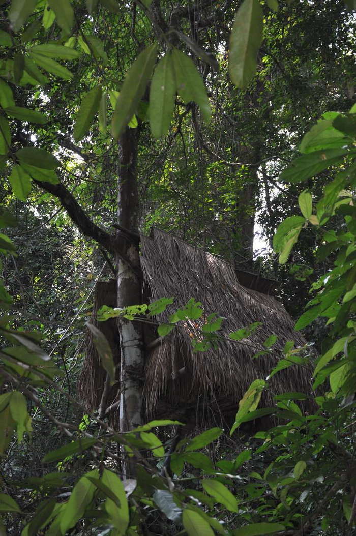 克木男人无论大人还是小孩都不怕火,炒得鲜红的木炭或铁板,他们用舌头