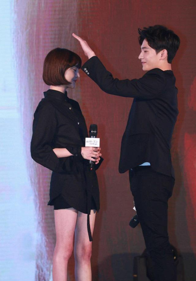 杨洋,郑爽自合作《微微一笑很倾城》之后,被网友称为最佳cp