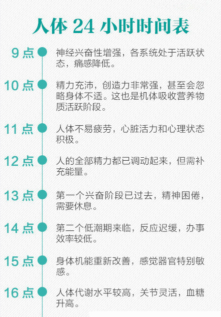 养生必看!24小时人体时间表