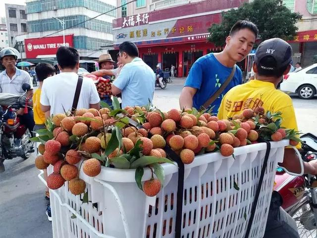 惨!荔枝价格一路狂跌,农民担心连人工成本都收不回……|人工成本|荔枝|狂跌_新浪新闻