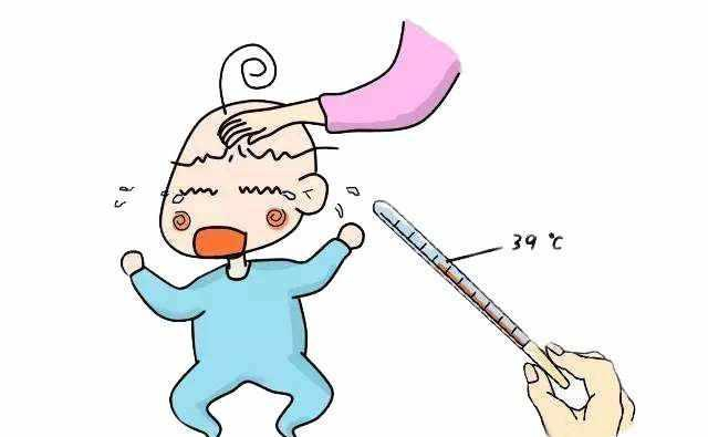 车轮之下，信息选择的艺术：车子判断的新视角