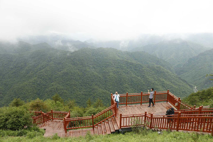 紫柏山云海,田野间花海,梦中的心海,真想留下来