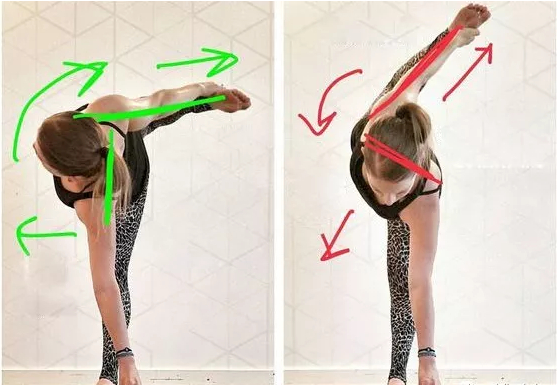 胸腔朝侧面的打开，看侧面