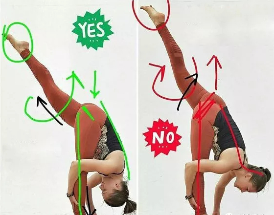 髋部摆正，上方大腿内旋，脖子后侧延展