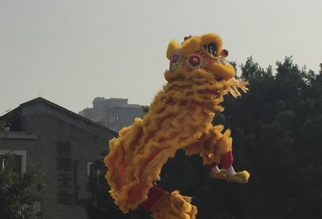南狮舞吉祥