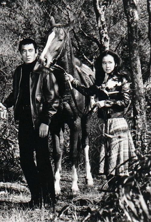 老电影《追捕》:硬汉高仓健,美女真由美