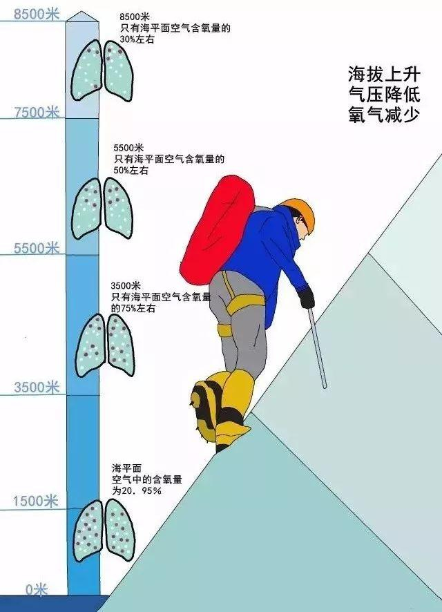高反了,怎么办?不容错过的应对高反攻略!|高原|高原反应|海拔_新浪新闻