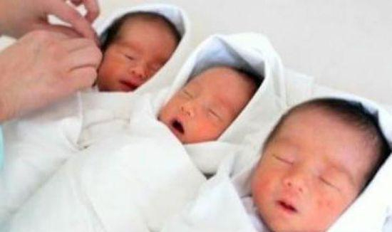 女子产三胞胎竟有三个爹 医生都震惊了|亲子鉴定|刘元|三胞胎|老二|双胞胎_新浪新闻