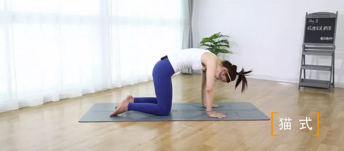 07丨猫式