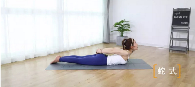 05丨蛇式