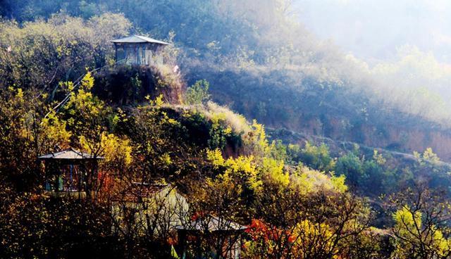 淄博市临淄马莲台,田园山居,无与伦比的惬意与舒适