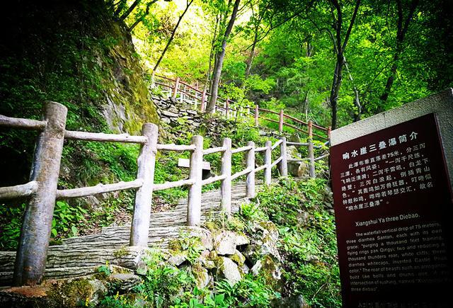 琴语琴愿：让音乐之树在心灵深处生根发芽