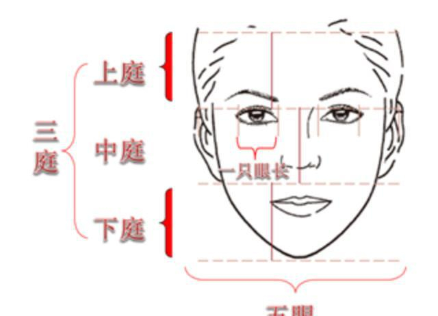 标准面部比例,找出自己的五官比例,在化妆中注意适当修饰