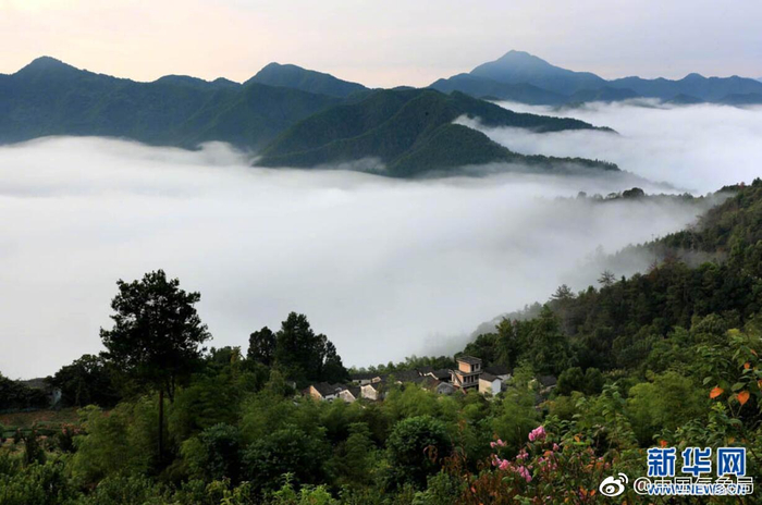 9月2日,皖南黄山石潭古村落雨后呈现云海景观。当日早晨