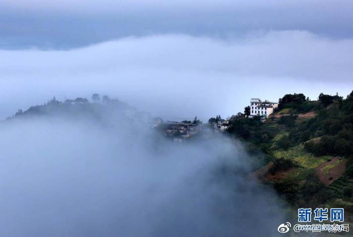 9月2日,皖南黄山石潭古村落雨后呈现云海景观。当日早晨