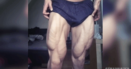 你以为大腿前侧那是一大块肌肉？看了他才知道其实足足有四块呢