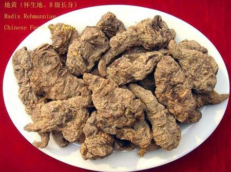 神农本草经药物解读——地黄