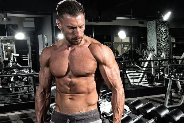 Tips 1：训练计划多样性