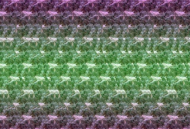 奇幻三维立体画“最新深度看法6层次”, 你能看到第几层?|立体画|深度|层次|视觉|看法_新浪新闻