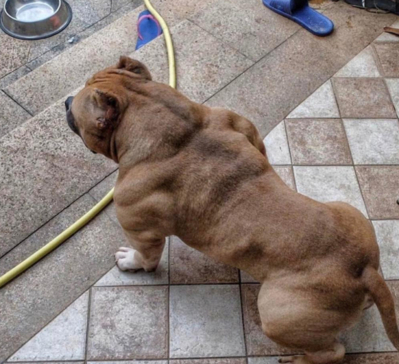 你敢惹我,你的下场可能不太好哦,朋友!