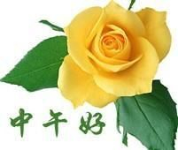 中午好!美美的祝福问候gif动态图片送给好朋友们
