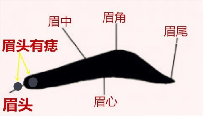 面相：剑眉上竖性刚强，一生食禄在命中！|剑眉|食禄|面相|一生|将军_新浪新闻