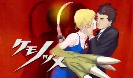 �ʺϳ����˿���ʮ���������㿴��������