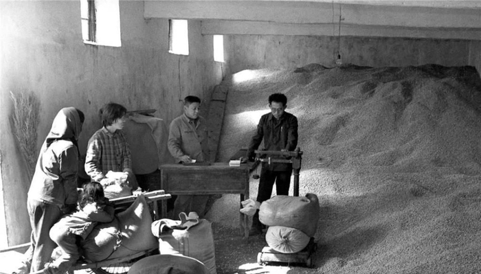 上世纪农村缴纳公粮真实老照片,公粮堆成山,农民肩挑背扛去送粮|粮食|公粮|农民|农村|拖拉车_新浪新闻