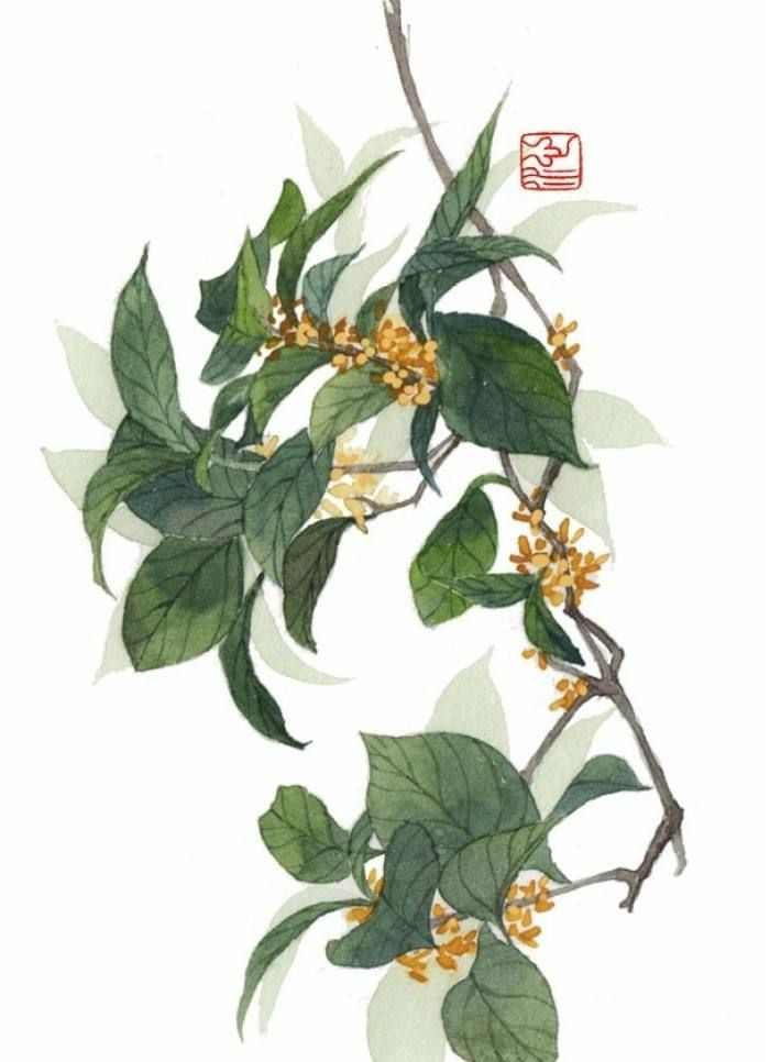 《山海经》中仙气十足的花草名,用来取名能这么优雅吗?_新浪新闻