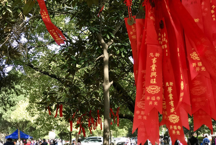 游长沙城北古开福寺，赏历史古迹