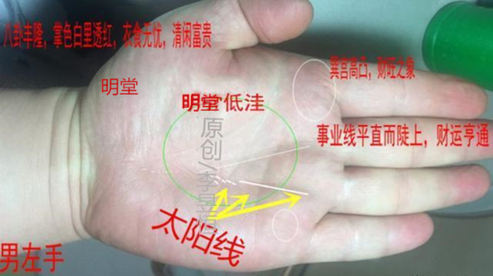 手相：玉柱通天事业成，玉柱Y纹名利双收！