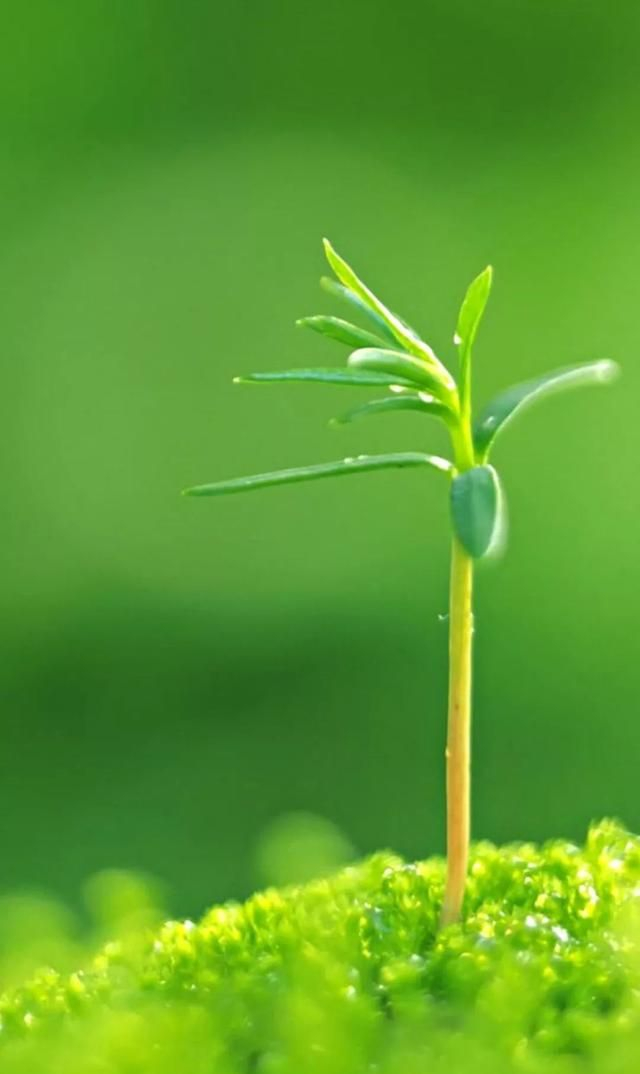 网页颜色怎么设置