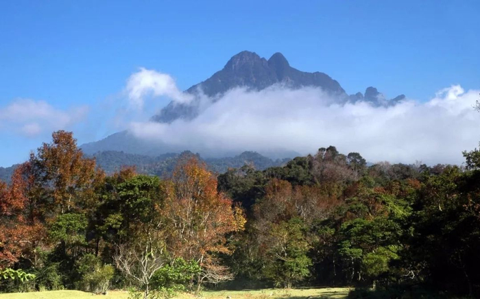 海南岛的象征：五指山